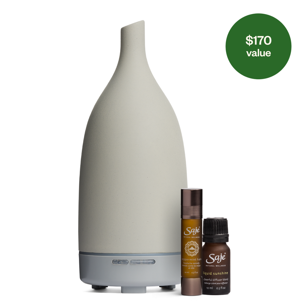 Best-Seller Discovery Set