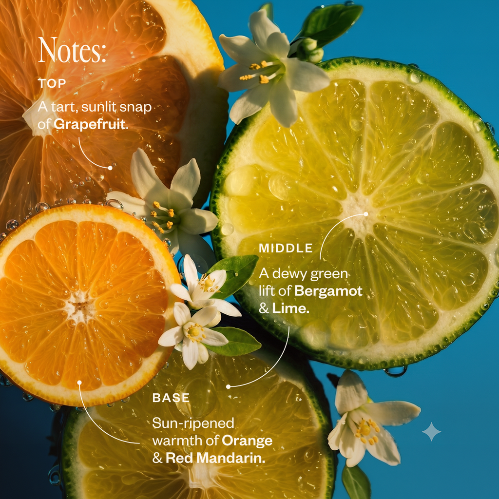Drive Happy