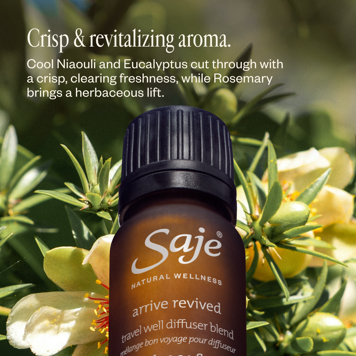 Arrive Revived