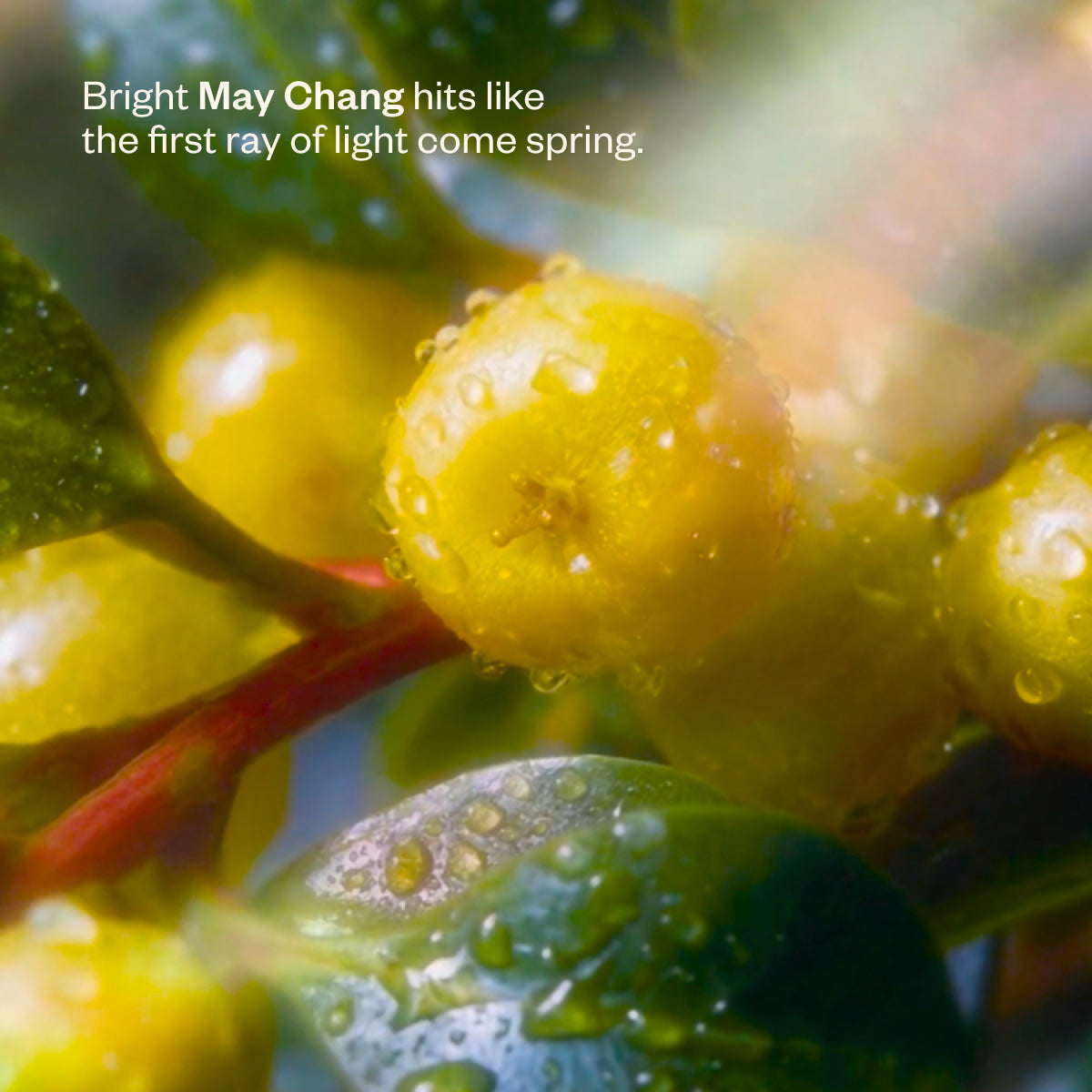 Peak State